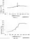 Fig. 19 - Antibody capable of binding to norovirus, composite, detection device and method using the same