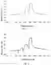 Fig. 05 - Antibody capable of binding to norovirus, composite, detection device and method using the same