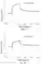 Fig. 10 - Antibody capable of binding to norovirus, composite, detection device and method using the same