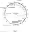 Fig. 02 - Flavivirus neutralizing antibodies and methods of use thereof