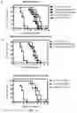 Fig. 05 - Flavivirus neutralizing antibodies and methods of use thereof