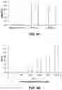 Fig. 06 - DbpA antibodies and uses thereof