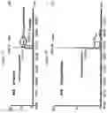 Fig. 06 - METHOD FOR THE PRODUCTION OF IMMUNOGLOBULIN SINGLE VARIABLE DOMAINS