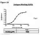 Fig. 50 - ANTI-NGF COMPOSITIONS AND USE THEREOF