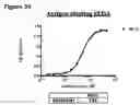 Fig. 58 - ANTI-NGF COMPOSITIONS AND USE THEREOF