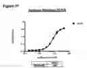 Fig. 59 - ANTI-NGF COMPOSITIONS AND USE THEREOF