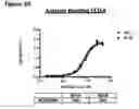 Fig. 60 - ANTI-NGF COMPOSITIONS AND USE THEREOF