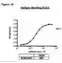 Fig. 62 - ANTI-NGF COMPOSITIONS AND USE THEREOF