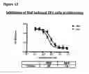 Fig. 64 - ANTI-NGF COMPOSITIONS AND USE THEREOF