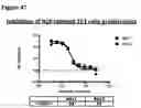 Fig. 69 - ANTI-NGF COMPOSITIONS AND USE THEREOF