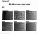 Fig. 82 - ANTI-NGF COMPOSITIONS AND USE THEREOF