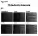 Fig. 85 - ANTI-NGF COMPOSITIONS AND USE THEREOF