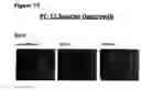 Fig. 97 - ANTI-NGF COMPOSITIONS AND USE THEREOF