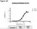 Fig. 60 - METHODS OF PREVENTING INFLAMMATION AND TREATING PAIN USING ANTI-NGF COMPOSITIONS