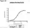Fig. 62 - METHODS OF PREVENTING INFLAMMATION AND TREATING PAIN USING ANTI-NGF COMPOSITIONS