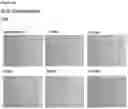 Fig. 84 - METHODS OF PREVENTING INFLAMMATION AND TREATING PAIN USING ANTI-NGF COMPOSITIONS