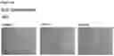 Fig. 88 - METHODS OF PREVENTING INFLAMMATION AND TREATING PAIN USING ANTI-NGF COMPOSITIONS