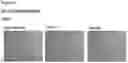 Fig. 91 - METHODS OF PREVENTING INFLAMMATION AND TREATING PAIN USING ANTI-NGF COMPOSITIONS
