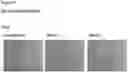 Fig. 97 - METHODS OF PREVENTING INFLAMMATION AND TREATING PAIN USING ANTI-NGF COMPOSITIONS