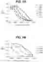 Fig. 02 - Method for treating lupus by administering an anti-IL-12 antibody