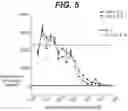 Fig. 06 - Method for treating lupus by administering an anti-IL-12 antibody