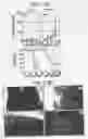 Fig. 03 - IMMUNOPOTENTIATIVE COMPOSITION