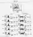 Fig. 09 - IMMUNOPOTENTIATIVE COMPOSITION