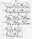Fig. 10 - IMMUNOPOTENTIATIVE COMPOSITION