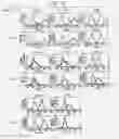 Fig. 11 - IMMUNOPOTENTIATIVE COMPOSITION