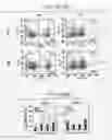Fig. 15 - IMMUNOPOTENTIATIVE COMPOSITION