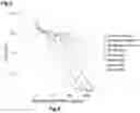 Fig. 04 - Recombinant antibodies to programmed death 1 (PD-1) and uses thereof