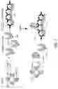 Fig. 02 - Methods for detecting 1,25-dihydroxyvitamin D and related antibodies