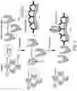 Fig. 03 - Methods for detecting 1,25-dihydroxyvitamin D and related antibodies