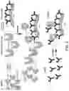 Fig. 04 - Methods for detecting 1,25-dihydroxyvitamin D and related antibodies