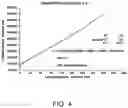 Fig. 05 - Methods for detecting 1,25-dihydroxyvitamin D and related antibodies