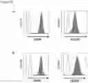 Fig. 08 - Methods of producing multispecific antibodies against CD40 and CD137