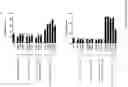 Fig. 23 - Methods of producing multispecific antibodies against CD40 and CD137