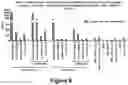 Fig. 20 - Bispecific binding molecules that are capable of binding CD137 and tumor antigens, and uses thereof
