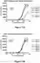 Fig. 22 - Bispecific binding molecules that are capable of binding CD137 and tumor antigens, and uses thereof