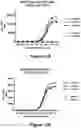 Fig. 24 - Bispecific binding molecules that are capable of binding CD137 and tumor antigens, and uses thereof