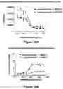 Fig. 30 - Bispecific binding molecules that are capable of binding CD137 and tumor antigens, and uses thereof