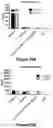 Fig. 31 - Bispecific binding molecules that are capable of binding CD137 and tumor antigens, and uses thereof