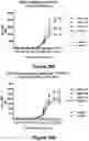 Fig. 32 - Bispecific binding molecules that are capable of binding CD137 and tumor antigens, and uses thereof