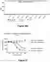 Fig. 40 - Bispecific binding molecules that are capable of binding CD137 and tumor antigens, and uses thereof