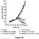 Fig. 42 - Bispecific binding molecules that are capable of binding CD137 and tumor antigens, and uses thereof