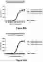Fig. 45 - Bispecific binding molecules that are capable of binding CD137 and tumor antigens, and uses thereof