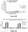 Fig. 48 - Bispecific binding molecules that are capable of binding CD137 and tumor antigens, and uses thereof