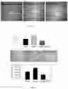 Fig. 11 - COMPOSITIONS AND METHODS OF PROMOTING WOUND HEALING