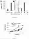 Fig. 17 - COMPOSITIONS AND METHODS OF PROMOTING WOUND HEALING