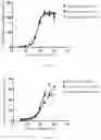 Fig. 10 - Humanized anti-TPBG antibody, preparation method therefor, conjugate thereof, and applications
